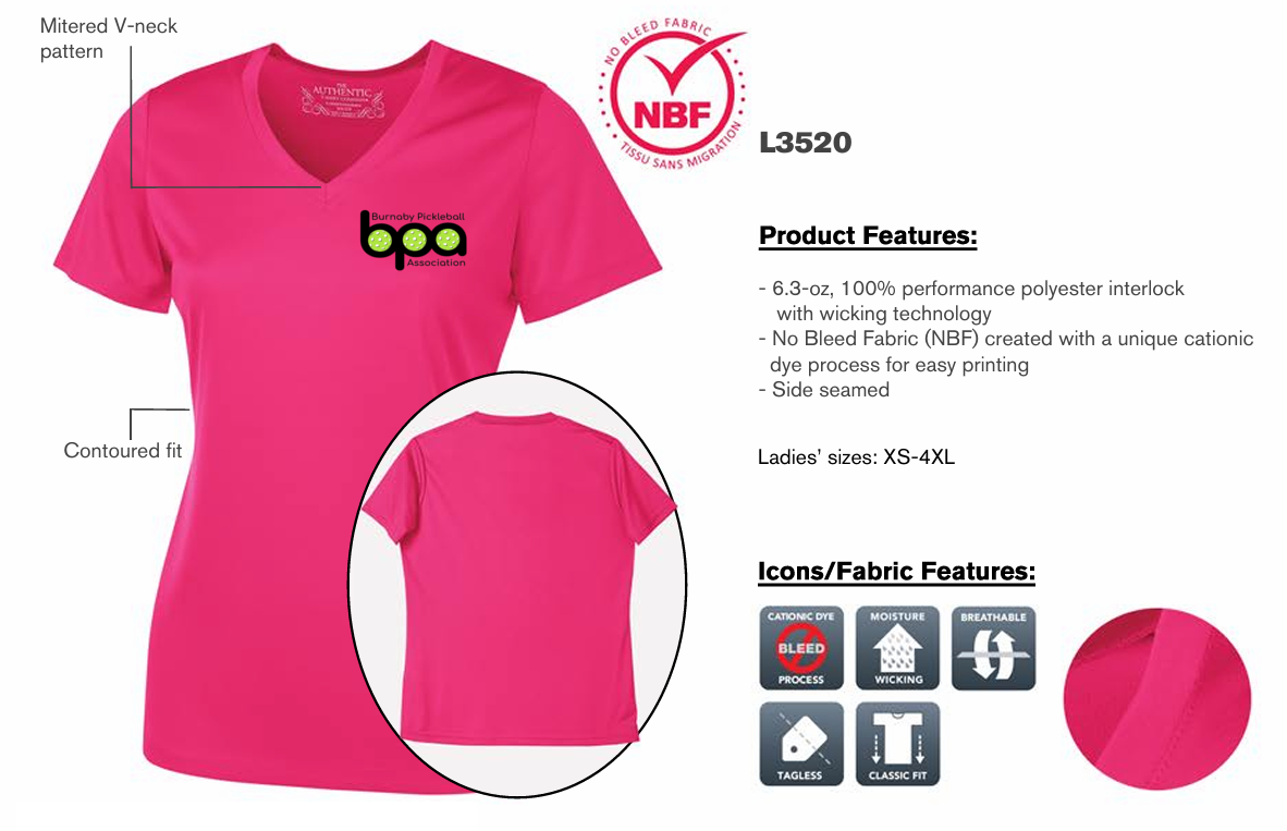 Ladies' V-Neck T-Shirt